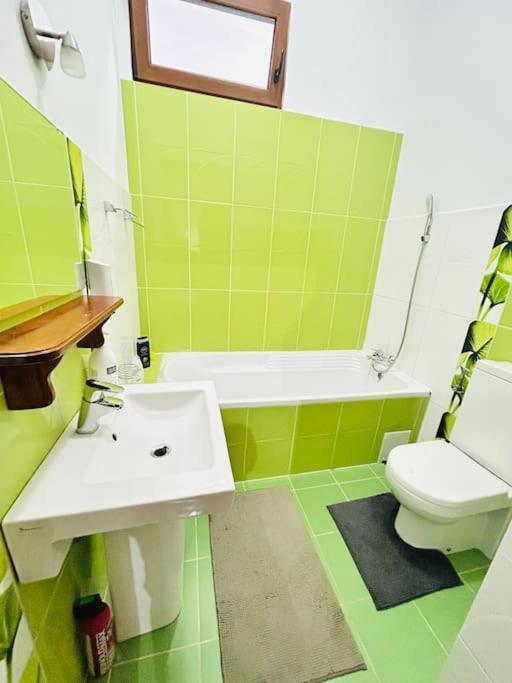Hidden Gem In The Old Town Apartment ทิมิชัวรา ภายนอก รูปภาพ