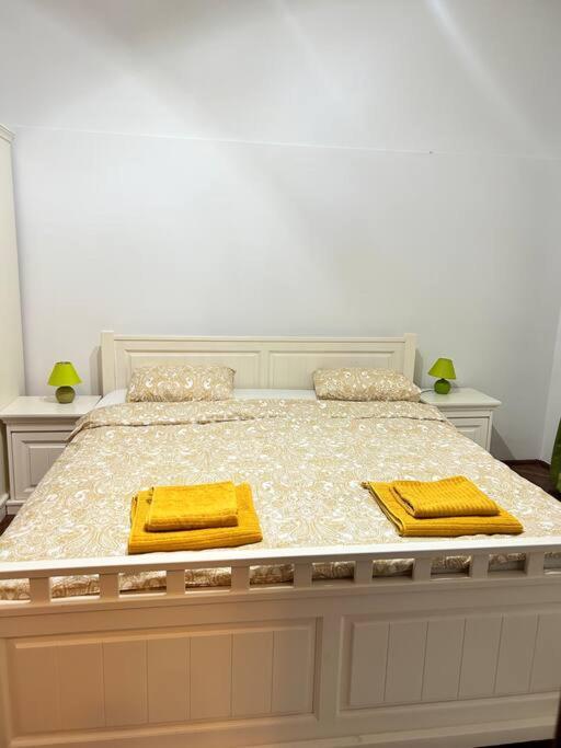 Hidden Gem In The Old Town Apartment ทิมิชัวรา ภายนอก รูปภาพ