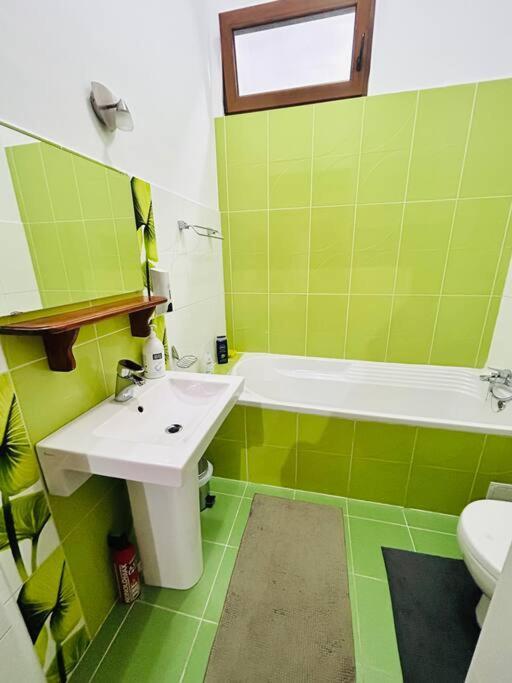 Hidden Gem In The Old Town Apartment ทิมิชัวรา ภายนอก รูปภาพ